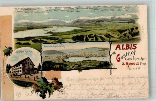 8000 Zürich 1902 Lithographie Gasthaus zum Hirschen Zürcher See