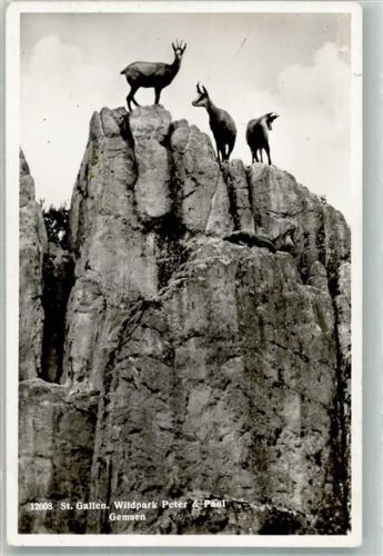 St. Gallen S. Gallo Wildpark Peter u. Paul Gemsen Zoo