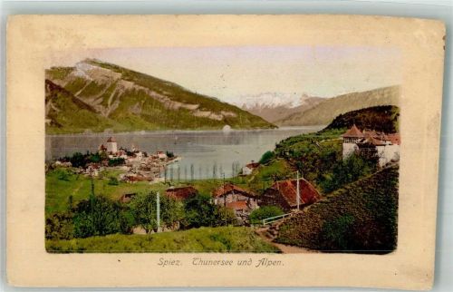 3700 Spiez 1912 Foto AK Thunersee Alpen