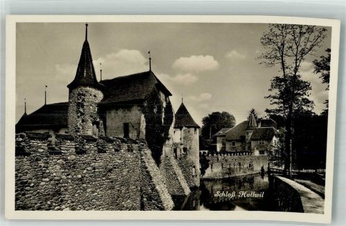 5705 Hallwil Foto AK Schloss
