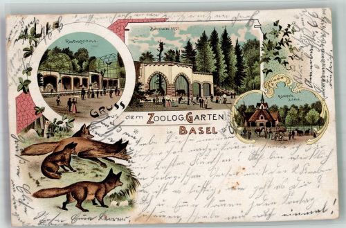 Basel Bâle Gruss aus Bärenzwinger, Vogelhaus + Fuchs Zoo 1902 Lithographie
