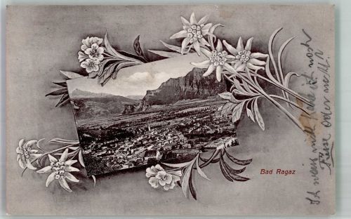 7310 Bad Ragaz 1909 Foto AK Blumen Edelweiß