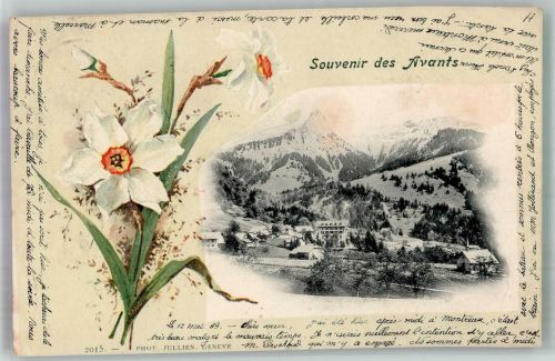 1833 Les Avants 1899 Foto AK Blumen Narzisse