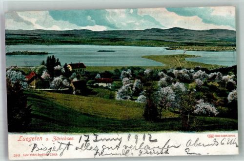 6313 Menzingen 1912 Foto AK Zürichsee Luegeten