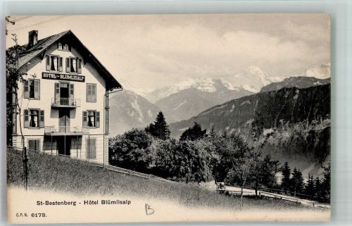 3803 Beatenberg Foto AK Hotel Blümlisalp