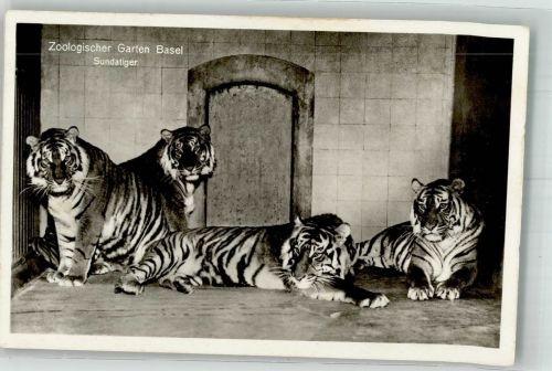 Sundatiger Zoo