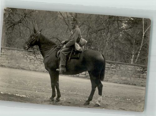 Soldat auf dem Pferd Militär Schweiz