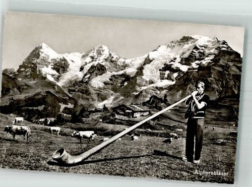 Bläser Kühe Alphorn