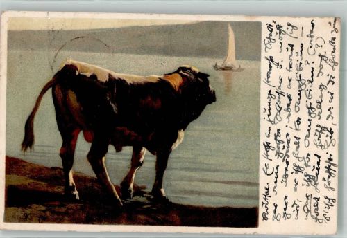 sign. Koller Rudolf Schwarzfleck Stier Pro Juventute Schweiz 1923 Künstlerkarte