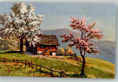 Künstlerkarte Bachmann E. Schweizer Berglandschaft Edition Stahli No. 838
