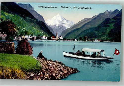 6454 Flüelen Foto AK Vierwaldstättersee Birkenstock
