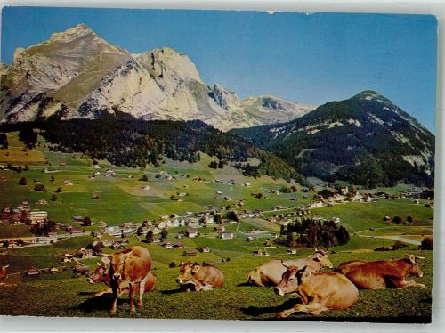 9658 Wildhaus 1977 Foto AK