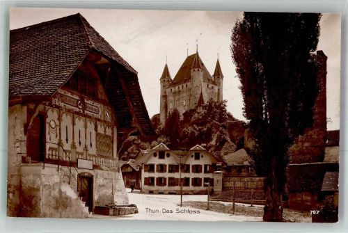 3600 Thun Foto AK Schloss