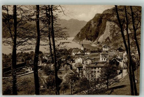 6452 Sisikon Foto AK Vierwaldstättersee