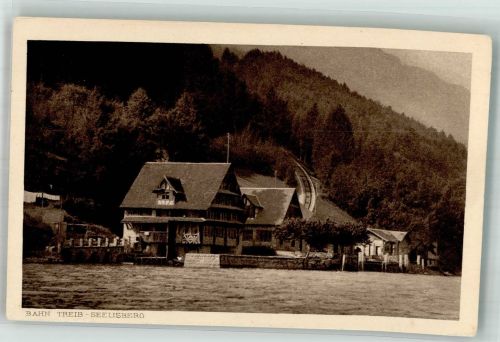 6377 Seelisberg Foto AK Bahn-Treib