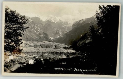 3812 Wilderswil Foto AK