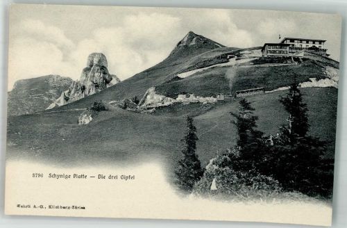 Schynige Platte Foto AK Die drei Gipfel