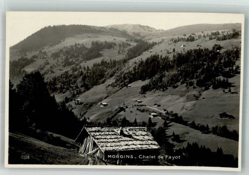 1875 Morgins Foto AK Chalet de Fayot