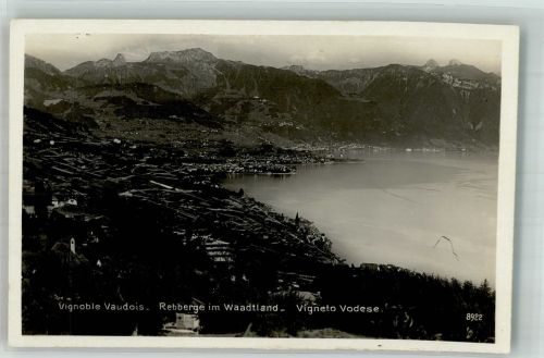 3000 Bern Berne 1925 Werbe AK Rebberge im Waadtland Verlag Schweiz. Landw. Ausstellung