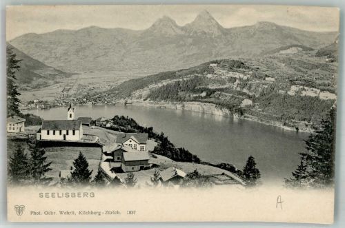 6377 Seelisberg Foto AK