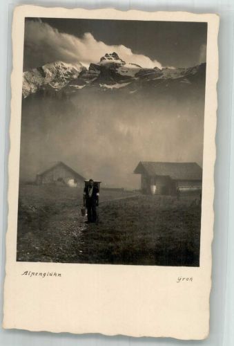 Blümlisalp 1933 Foto AK Alpenglühn