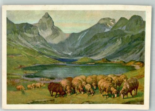 Muotathal Schafherde am Glattalpsee sign. Elmiger , F. Pro Juventute Schweiz 1935 Künstlerkarte