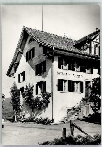 8800 Thalwil 1965 Foto AK Gasthaus Sihlhalde