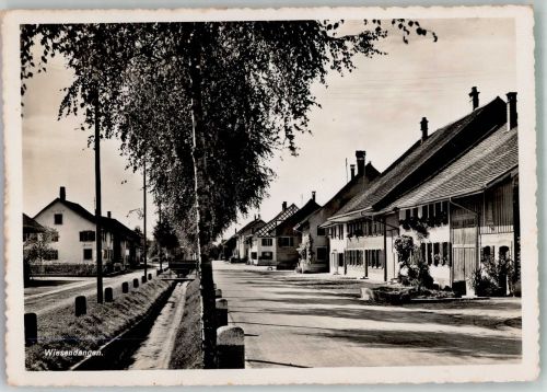 8542 Wiesendangen Foto AK Straßenansicht
