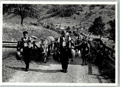 Ebnat-Kappel Tracht Alpauffahrt Tracht Schweiz Foto AK
