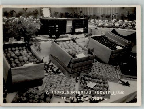 8570 Weinfelden Foto AK Ausstellung Gartenbau 1931