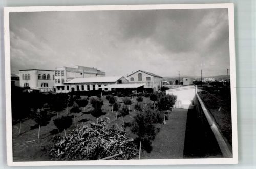 8620 Wetzikon ZH 1958 Foto AK