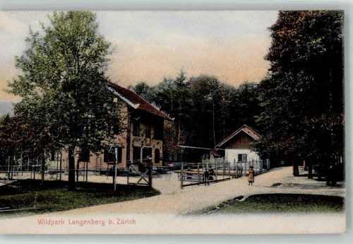 Zürich Wildpark Langenberg Zoo 1909 Foto AK