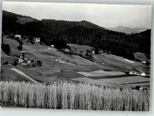 3618 Süderen 1968 Foto AK Pension Ferienheim Honegg