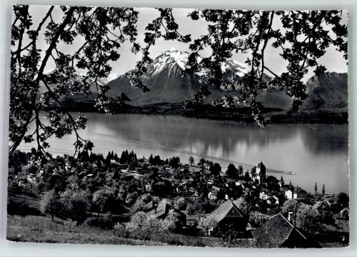 3653 Oberhofen am Thunersee 1962 Foto AK Thunersee