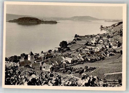 2513 Twann Foto AK Peterinsel