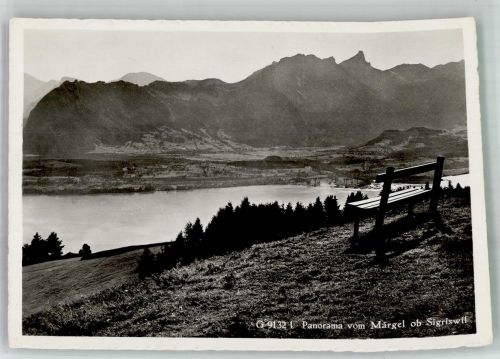 3655 Sigriswil Foto AK Panoram vom Märgel