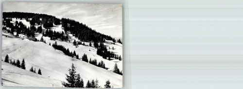 3156 Riffenmatt 1962 Winter Skigelände Selital
