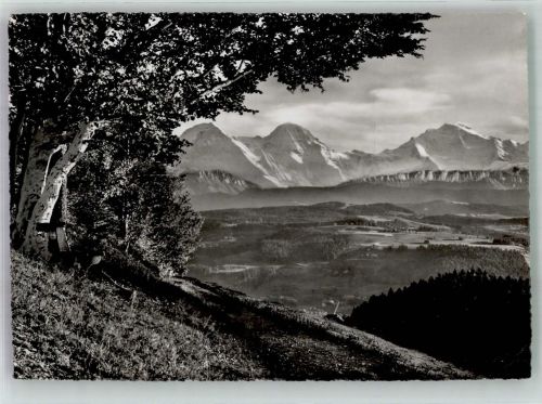 3543 Emmenmatt 1949 Foto AK Moosegg