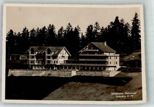 3625 Haltenegg 1933 Foto AK Hotel Waldheim