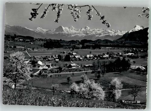 3665 Wattenwil Foto AK Feldpost Pz.Gre.Kp, III/4