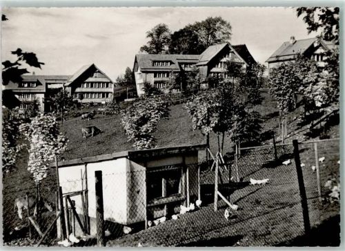 Trogen Kinderdorf Pestalozzi Kühe Hühner