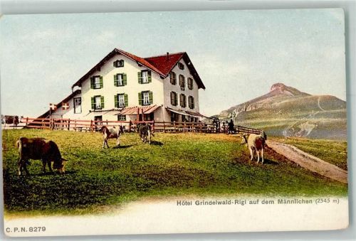 Männlichen Hotel Gringelwald Rigi 2345 m Kühe Fahnen Stempel