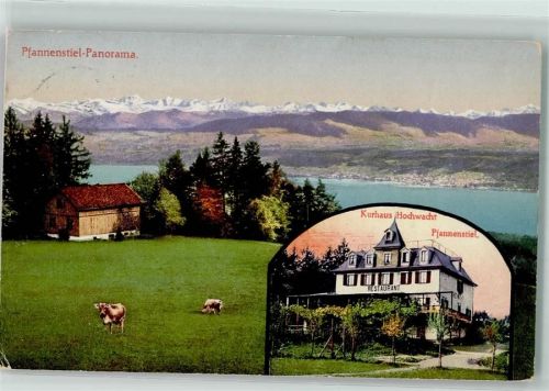 Pfannenstiel Kurhaus Hochwacht Kühe