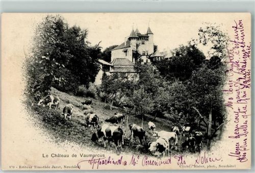 Vaumarcus 1892 Le Chateau Schloss Kühe