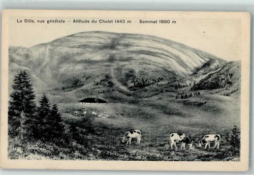 La Dole Altitude du Chalet 1443 m Sommet 1680 m Kühe