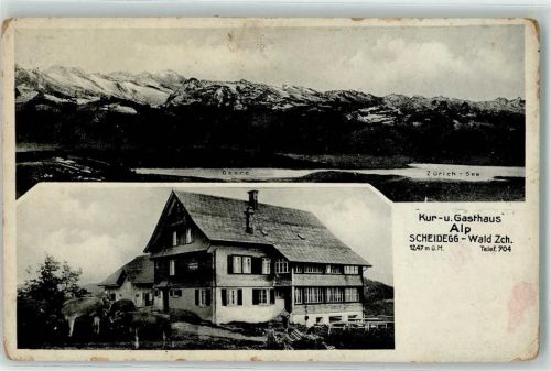 Wald ZH Gasthaus Alp Scheidegg