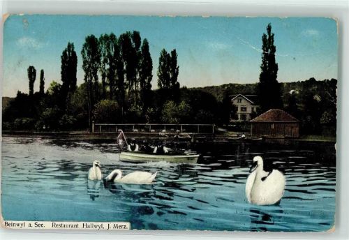 Beinwil am See Gasthaus Hallwyl Schwäne