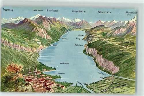 8872 Weesen - Vogelschau Walensee