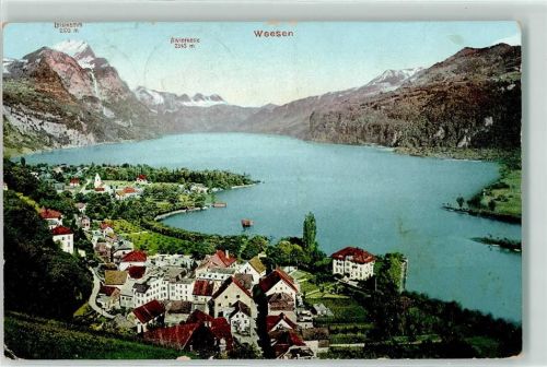 8872 Weesen 1908 - Alvierkette