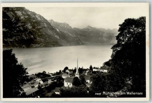 Mühlehorn